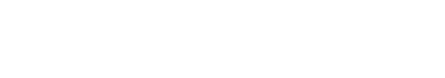 Bumax Logo
